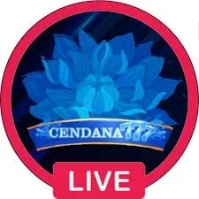 cendana777 Terbaru: Download APK dan Info Lengkap